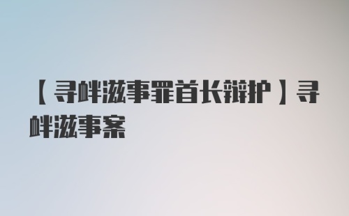 【寻衅滋事罪首长辩护】寻衅滋事案