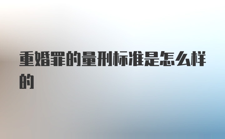 重婚罪的量刑标准是怎么样的