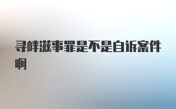 寻衅滋事罪是不是自诉案件啊