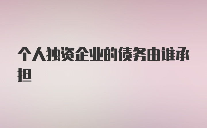 个人独资企业的债务由谁承担