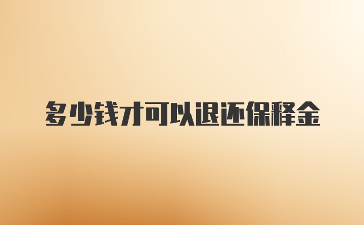 多少钱才可以退还保释金