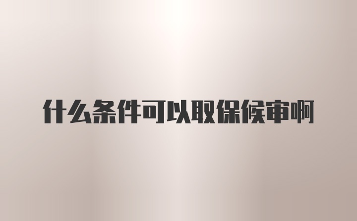 什么条件可以取保候审啊