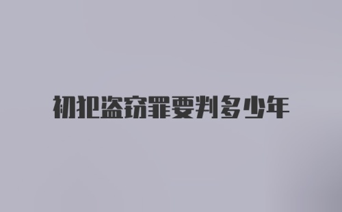 初犯盗窃罪要判多少年