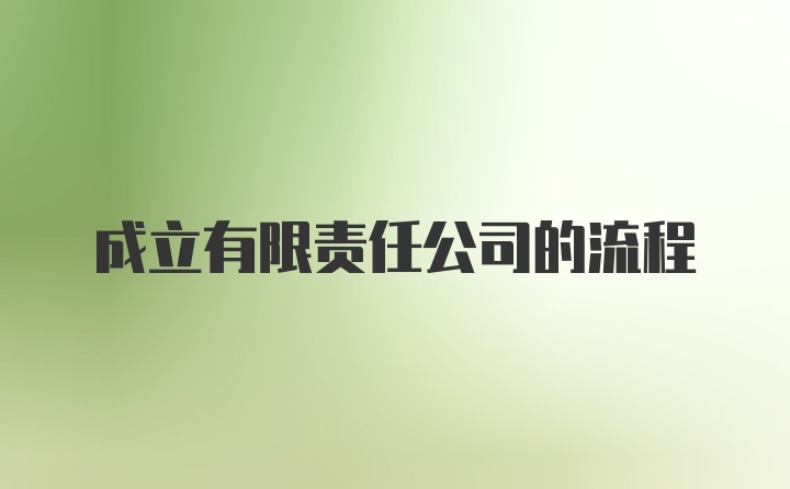 成立有限责任公司的流程