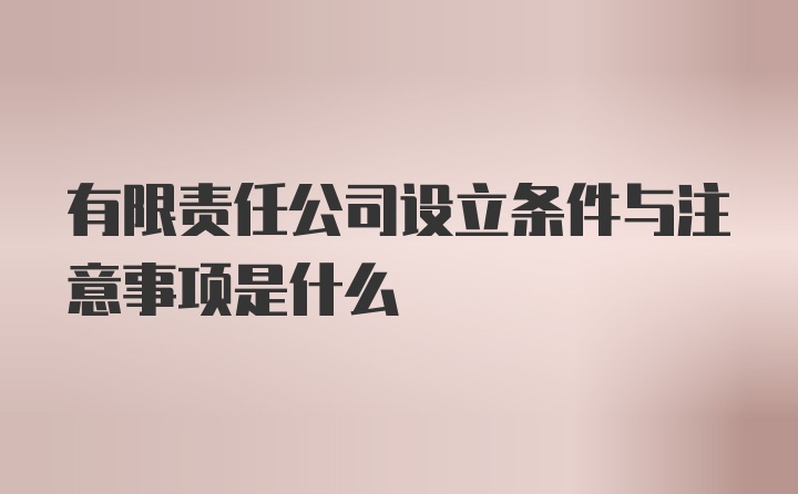 有限责任公司设立条件与注意事项是什么