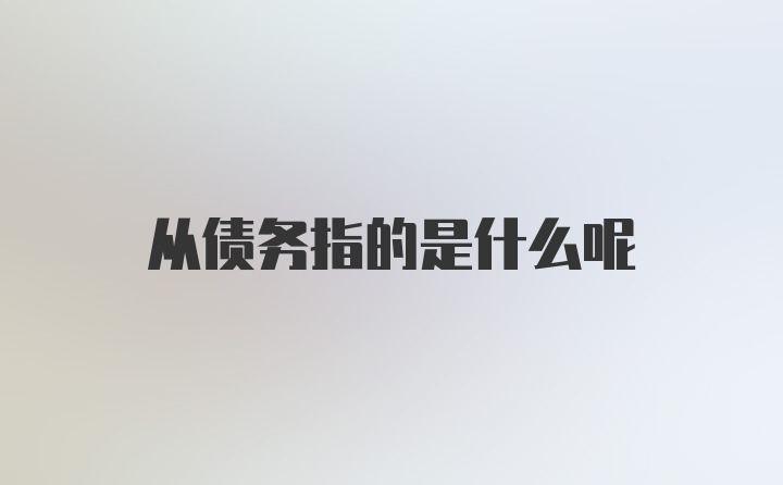 从债务指的是什么呢