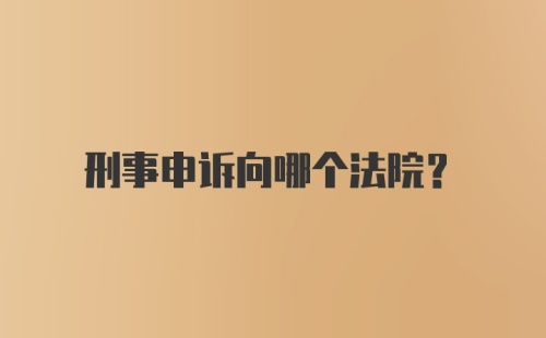 刑事申诉向哪个法院？