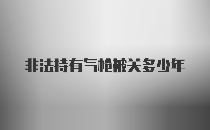 非法持有气枪被关多少年