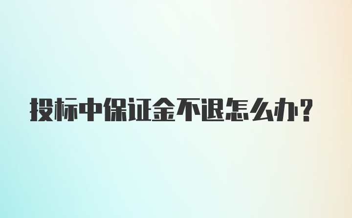 投标中保证金不退怎么办？