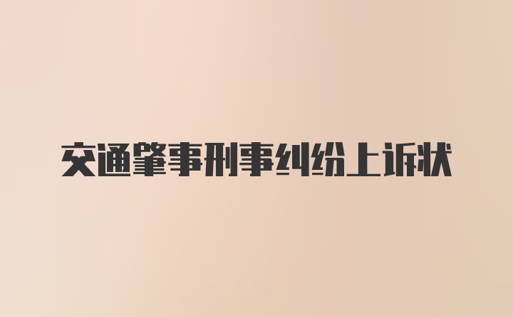 交通肇事刑事纠纷上诉状