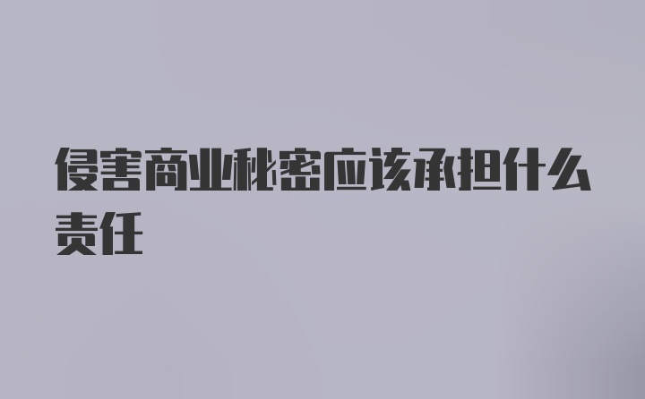 侵害商业秘密应该承担什么责任