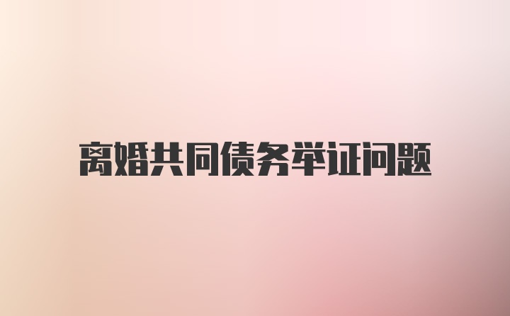 离婚共同债务举证问题