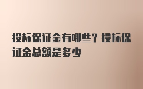 投标保证金有哪些？投标保证金总额是多少