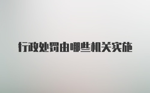 行政处罚由哪些机关实施