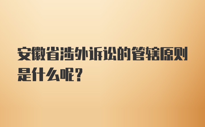 安徽省涉外诉讼的管辖原则是什么呢？