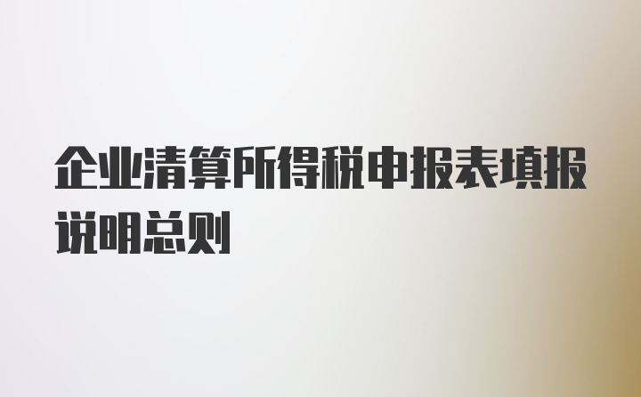 企业清算所得税申报表填报说明总则