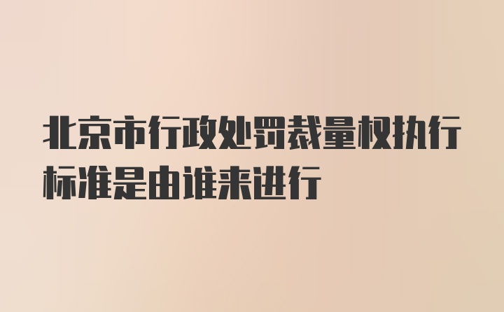 北京市行政处罚裁量权执行标准是由谁来进行