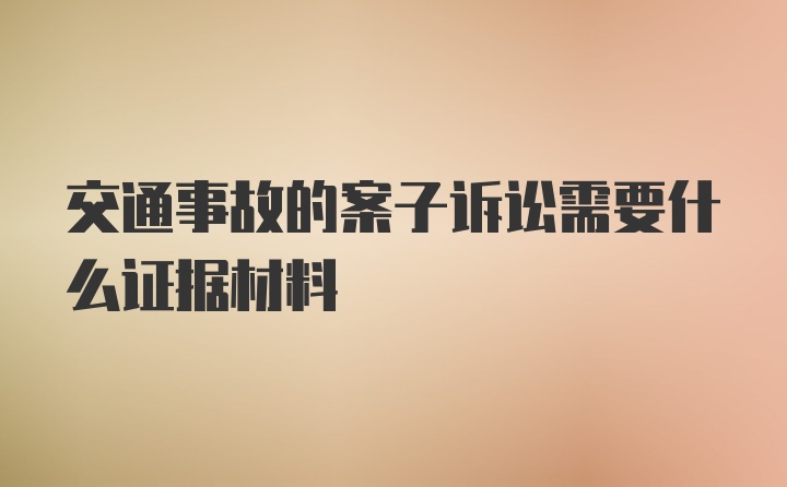 交通事故的案子诉讼需要什么证据材料