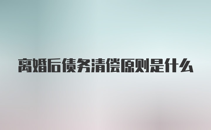 离婚后债务清偿原则是什么