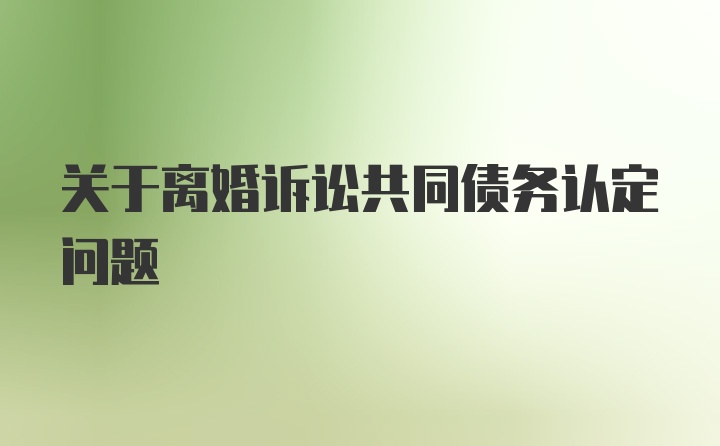 关于离婚诉讼共同债务认定问题