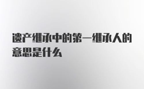 遗产继承中的第一继承人的意思是什么