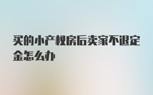 买的小产权房后卖家不退定金怎么办