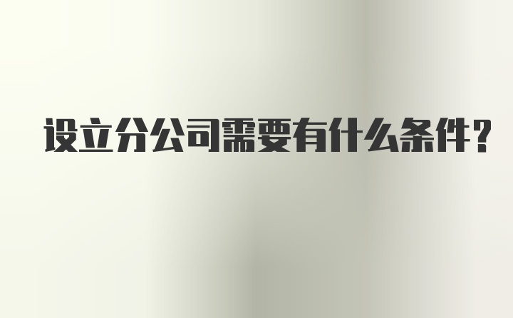 设立分公司需要有什么条件?