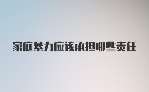 家庭暴力应该承担哪些责任