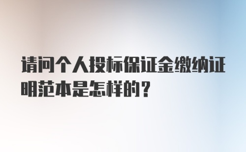 请问个人投标保证金缴纳证明范本是怎样的？