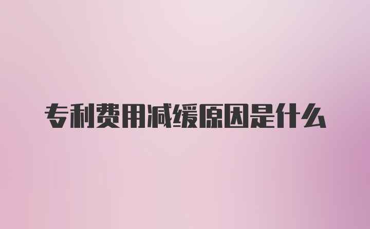 专利费用减缓原因是什么