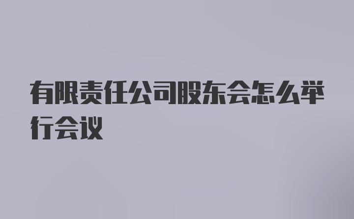 有限责任公司股东会怎么举行会议