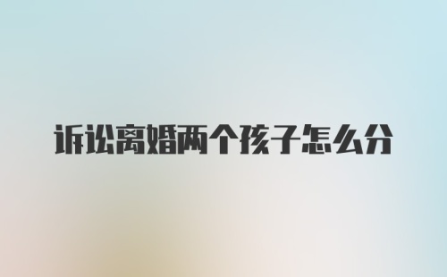 诉讼离婚两个孩子怎么分