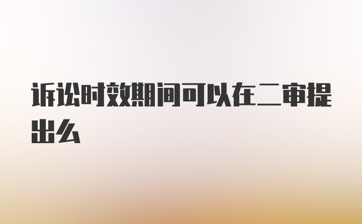 诉讼时效期间可以在二审提出么