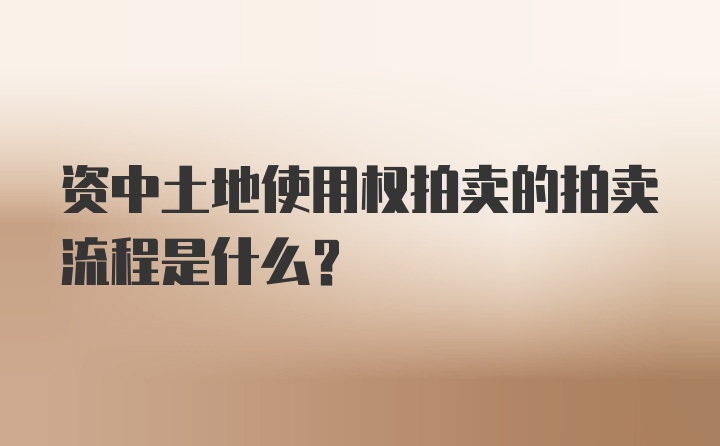 资中土地使用权拍卖的拍卖流程是什么？