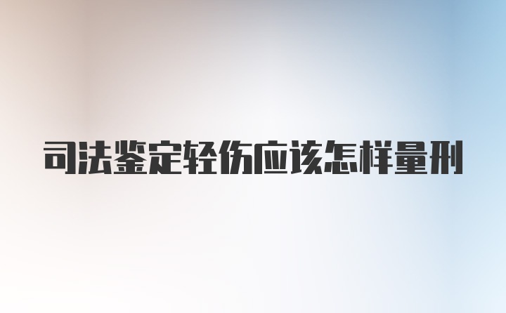 司法鉴定轻伤应该怎样量刑