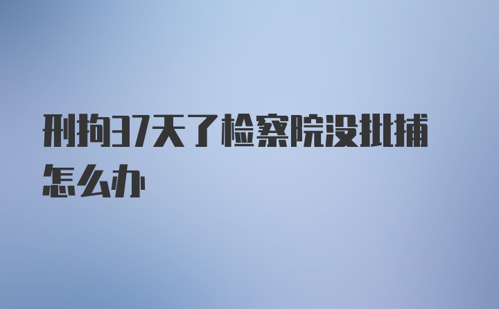 刑拘37天了检察院没批捕怎么办