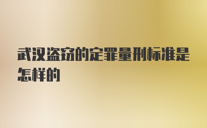 武汉盗窃的定罪量刑标准是怎样的