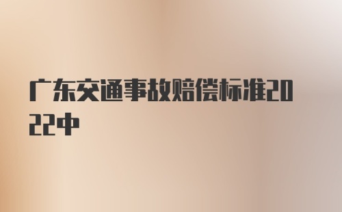 广东交通事故赔偿标准2022中