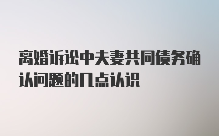 离婚诉讼中夫妻共同债务确认问题的几点认识