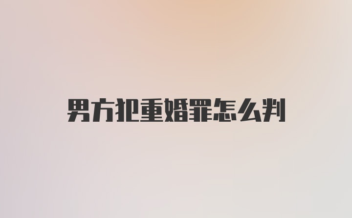 男方犯重婚罪怎么判