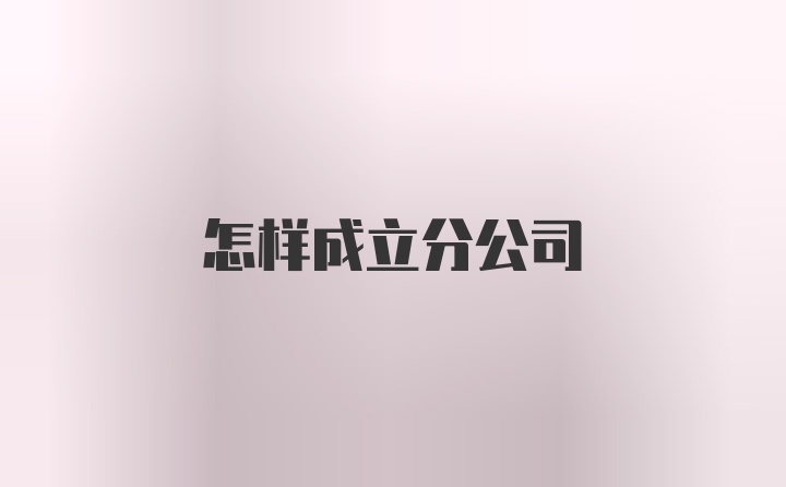 怎样成立分公司