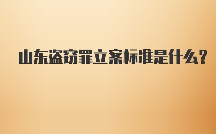 山东盗窃罪立案标准是什么?