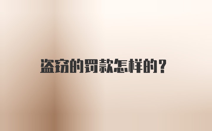 盗窃的罚款怎样的？