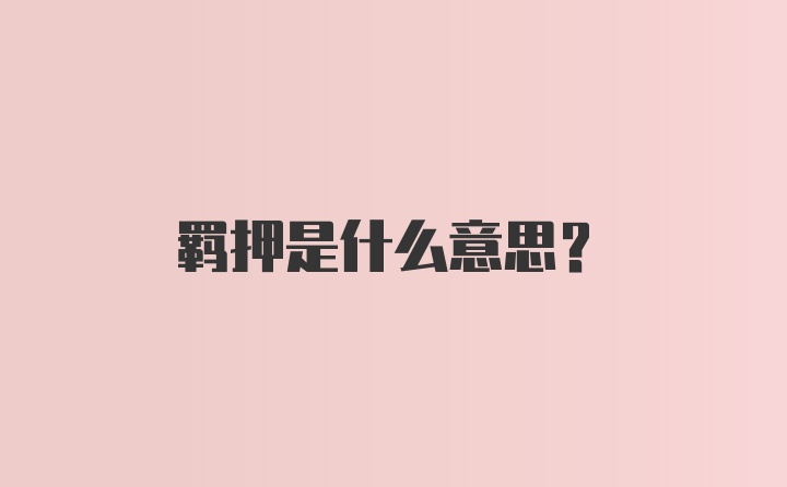 羁押是什么意思?