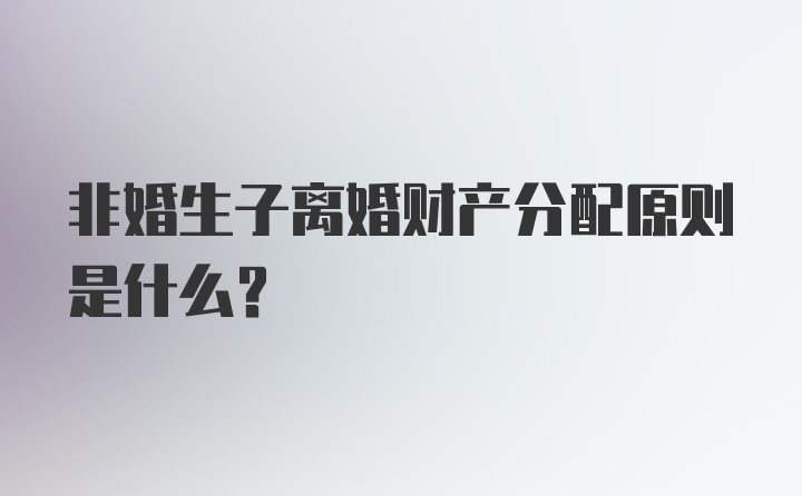 非婚生子离婚财产分配原则是什么?