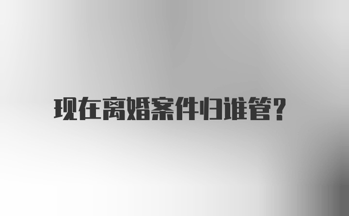 现在离婚案件归谁管？