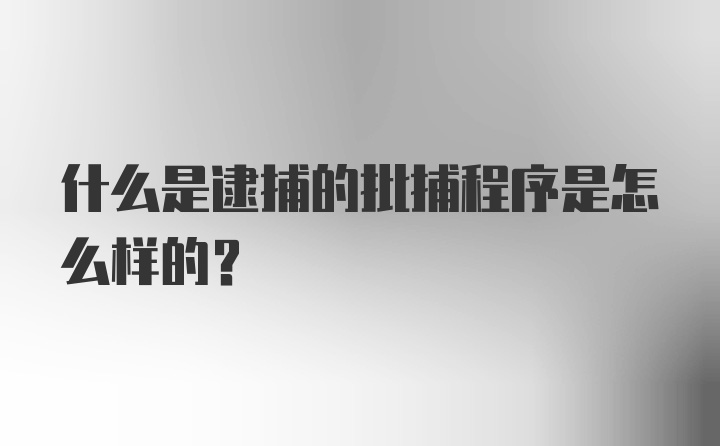 什么是逮捕的批捕程序是怎么样的？