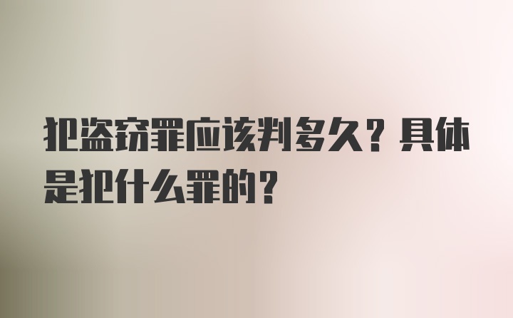 犯盗窃罪应该判多久？具体是犯什么罪的？