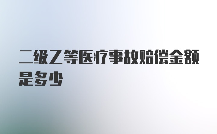 二级乙等医疗事故赔偿金额是多少