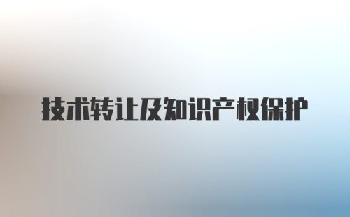 技术转让及知识产权保护